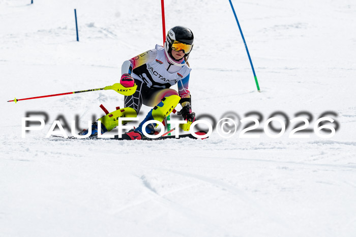 DSV - Actanol Deutscher Schülercup U12 Finale SLX 2026