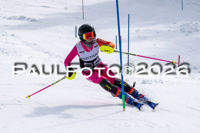 DSV - Actanol Deutscher Schülercup U12 Finale SLX 2026