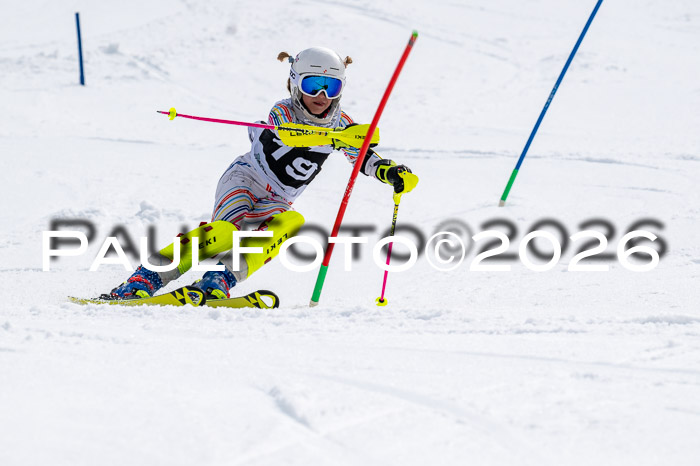 DSV - Actanol Deutscher Schülercup U12 Finale SLX 2026