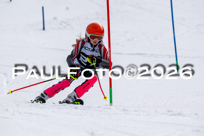 DSV - Actanol Deutscher Schülercup U12 Finale SLX 2026