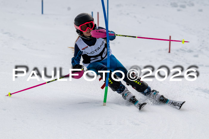 DSV - Actanol Deutscher Schülercup U12 Finale SLX 2026