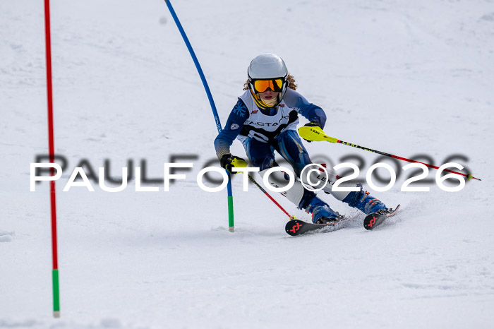 DSV - Actanol Deutscher Schülercup U12 Finale SLX 2026