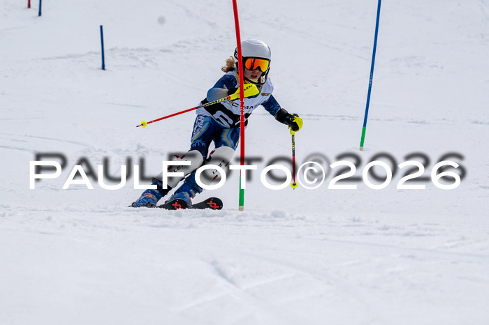 DSV - Actanol Deutscher Schülercup U12 Finale SLX 2026