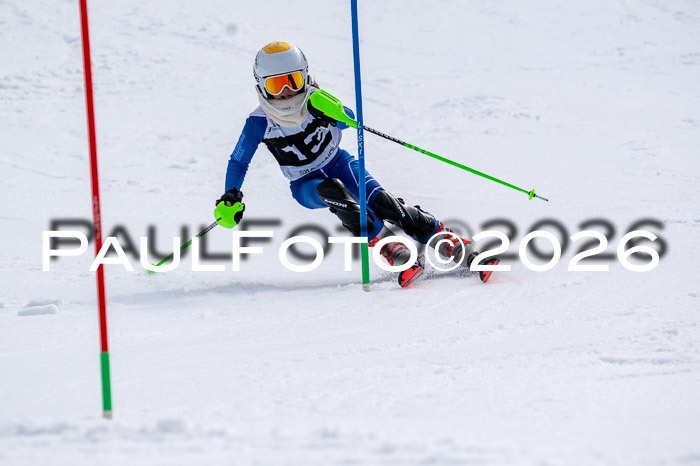 DSV - Actanol Deutscher Schülercup U12 Finale SLX 2026
