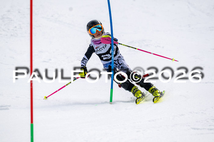 DSV - Actanol Deutscher Schülercup U12 Finale SLX 2026