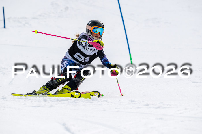 DSV - Actanol Deutscher Schülercup U12 Finale SLX 2026