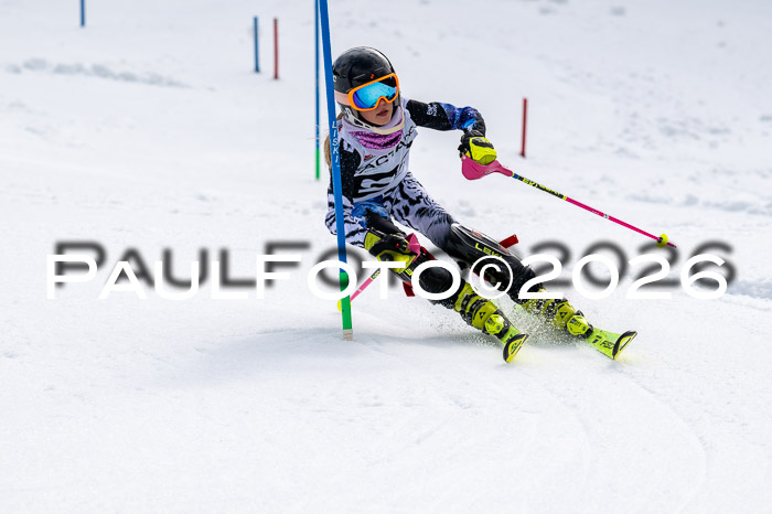 DSV - Actanol Deutscher Schülercup U12 Finale SLX 2026