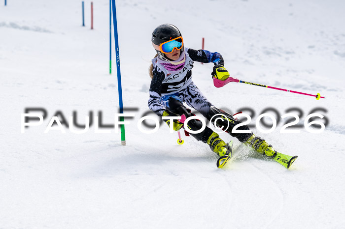 DSV - Actanol Deutscher Schülercup U12 Finale SLX 2026