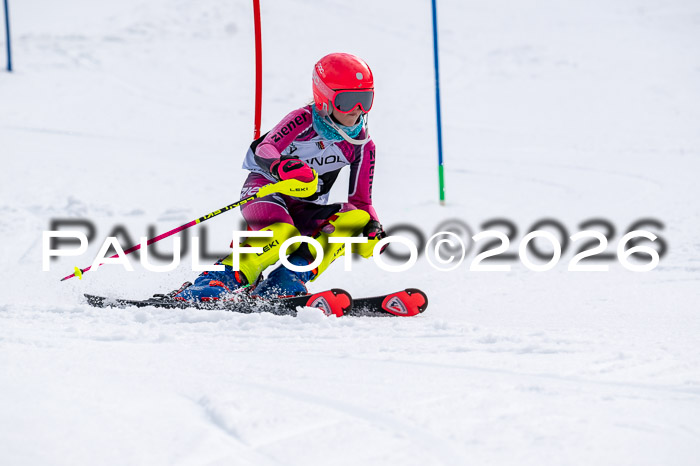 DSV - Actanol Deutscher Schülercup U12 Finale SLX 2026