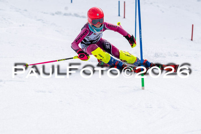 DSV - Actanol Deutscher Schülercup U12 Finale SLX 2026