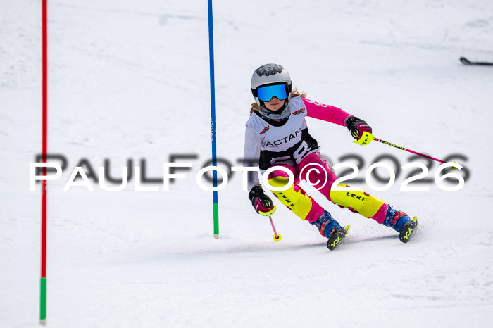 DSV - Actanol Deutscher Schülercup U12 Finale SLX 2026