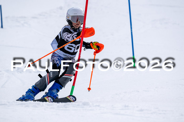DSV - Actanol Deutscher Schülercup U12 Finale SLX 2026