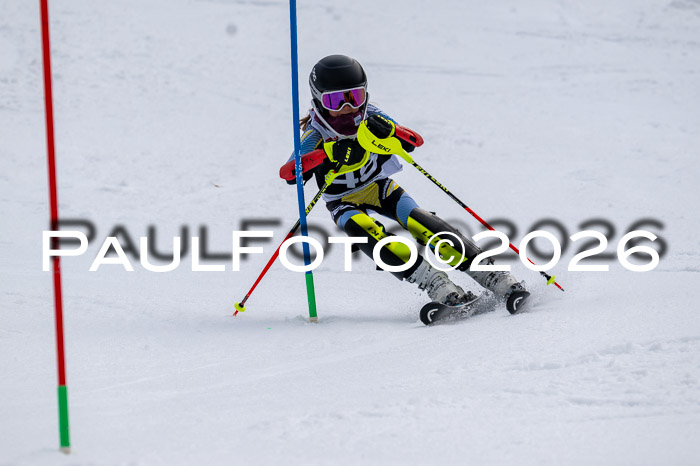 DSV - Actanol Deutscher Schülercup U12 Finale SLX 2026
