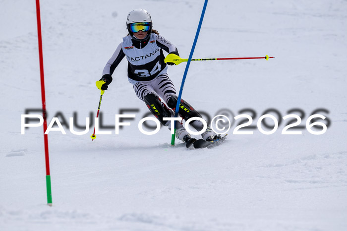 DSV - Actanol Deutscher Schülercup U12 Finale SLX 2026