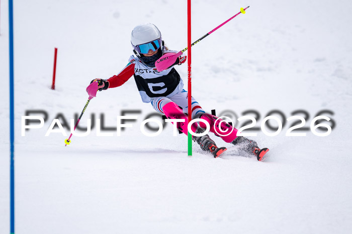 DSV - Actanol Deutscher Schülercup U12 Finale SLX 2026