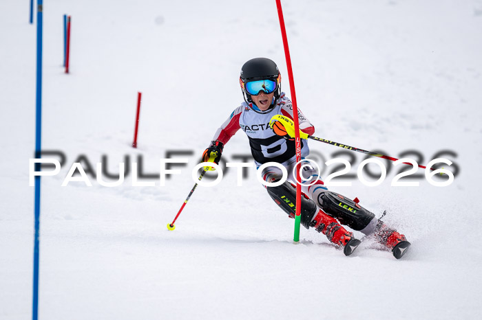 DSV - Actanol Deutscher Schülercup U12 Finale SLX 2026