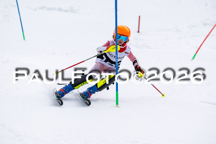 DSV - Actanol Deutscher Schülercup U12 Finale SLX 2026