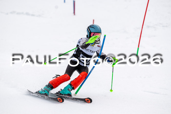 DSV - Actanol Deutscher Schülercup U12 Finale SLX 2026