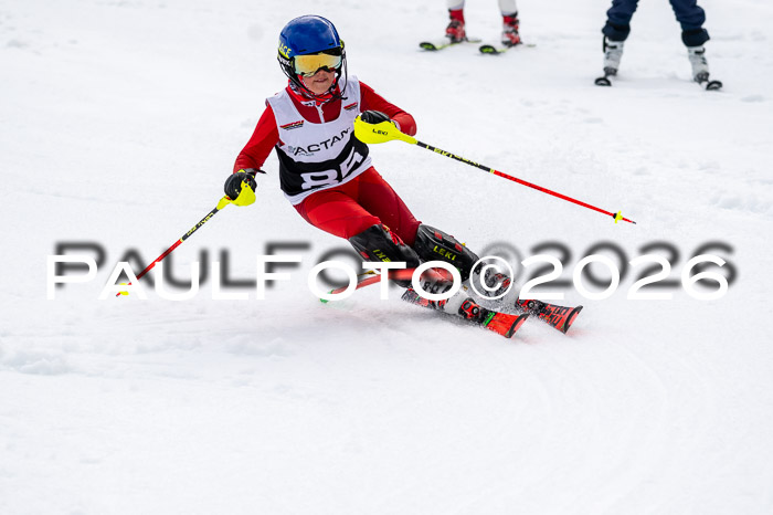 DSV - Actanol Deutscher Schülercup U12 Finale SLX 2026