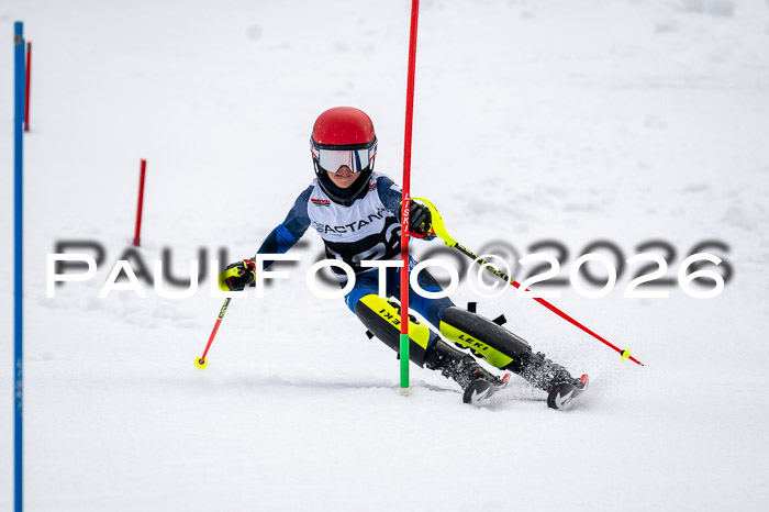 DSV - Actanol Deutscher Schülercup U12 Finale SLX 2026