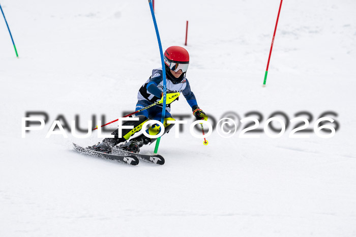 DSV - Actanol Deutscher Schülercup U12 Finale SLX 2026