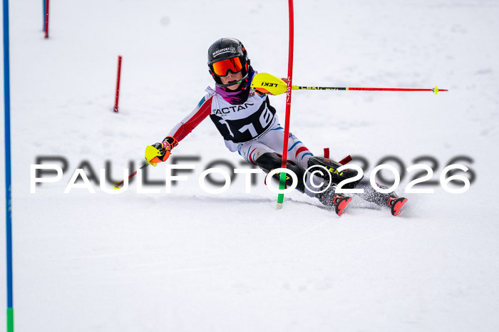 DSV - Actanol Deutscher Schülercup U12 Finale SLX 2026