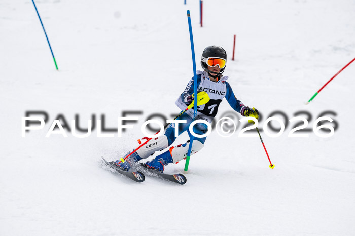 DSV - Actanol Deutscher Schülercup U12 Finale SLX 2026
