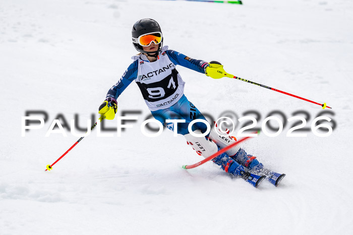 DSV - Actanol Deutscher Schülercup U12 Finale SLX 2026