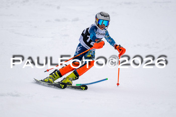 DSV - Actanol Deutscher Schülercup U12 Finale SLX 2026