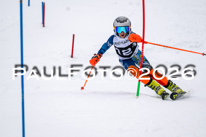 DSV - Actanol Deutscher Schülercup U12 Finale SLX 2026