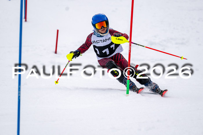 DSV - Actanol Deutscher Schülercup U12 Finale SLX 2026
