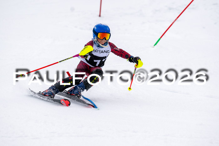 DSV - Actanol Deutscher Schülercup U12 Finale SLX 2026