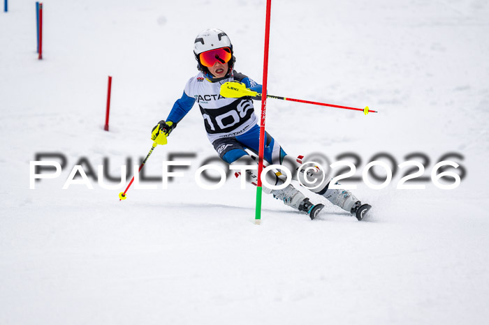 DSV - Actanol Deutscher Schülercup U12 Finale SLX 2026