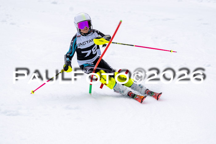 DSV - Actanol Deutscher Schülercup U12 Finale SLX 2026