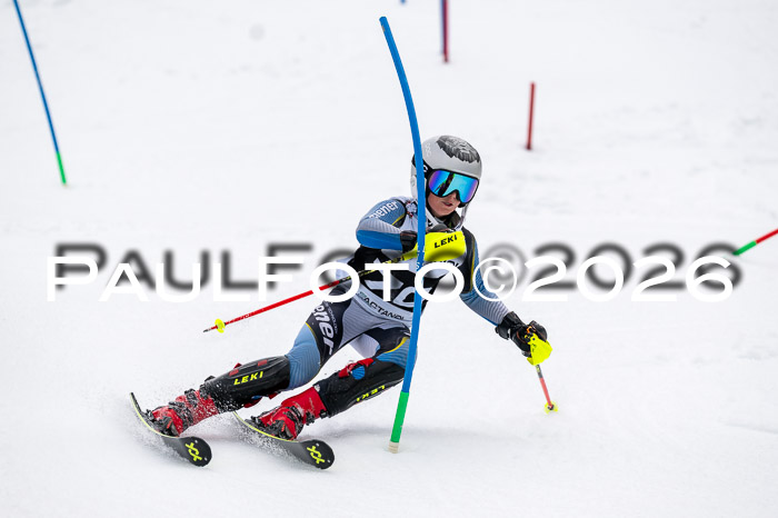 DSV - Actanol Deutscher Schülercup U12 Finale SLX 2026