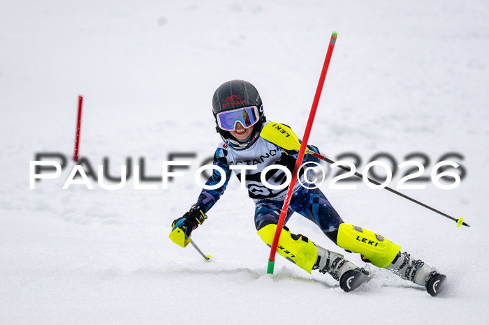 DSV - Actanol Deutscher Schülercup U12 Finale SLX 2026