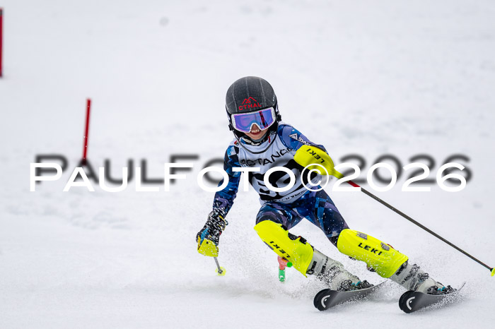 DSV - Actanol Deutscher Schülercup U12 Finale SLX 2026