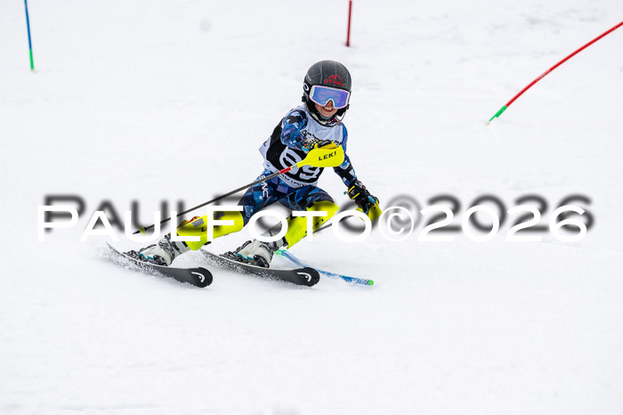 DSV - Actanol Deutscher Schülercup U12 Finale SLX 2026