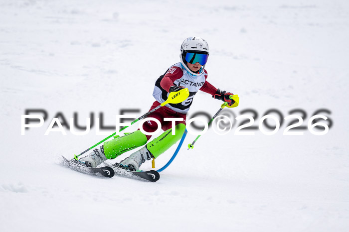 DSV - Actanol Deutscher Schülercup U12 Finale SLX 2026