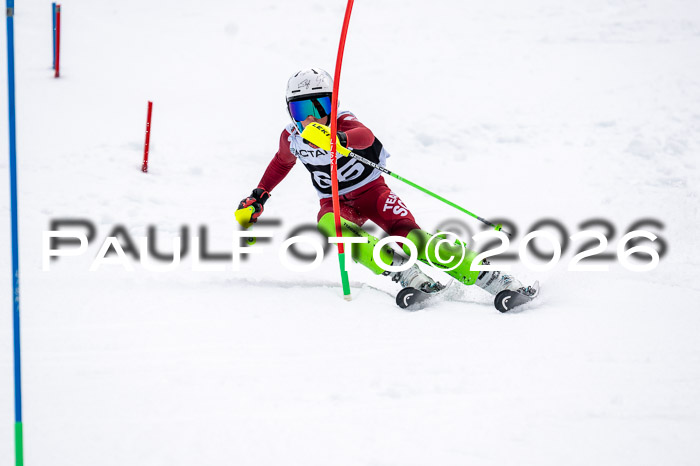 DSV - Actanol Deutscher Schülercup U12 Finale SLX 2026