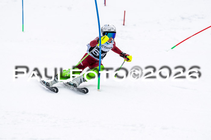 DSV - Actanol Deutscher Schülercup U12 Finale SLX 2026