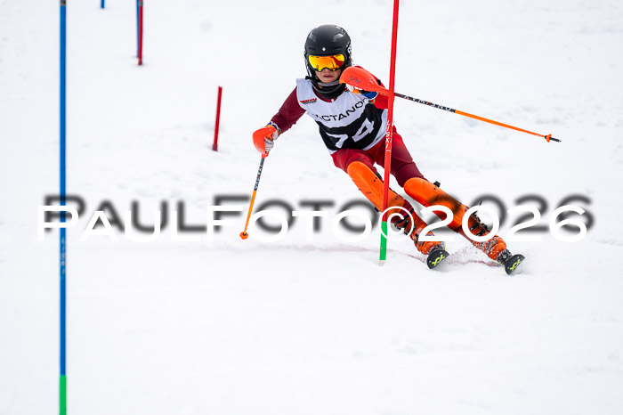 DSV - Actanol Deutscher Schülercup U12 Finale SLX 2026