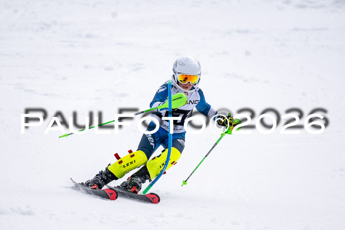 DSV - Actanol Deutscher Schülercup U12 Finale SLX 2026