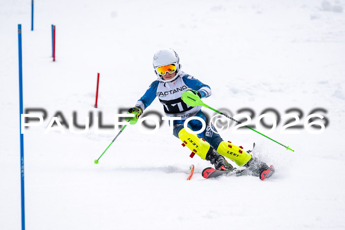 DSV - Actanol Deutscher Schülercup U12 Finale SLX 2026