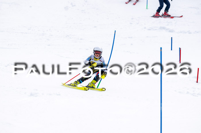 DSV - Actanol Deutscher Schülercup U12 Finale SLX 2026