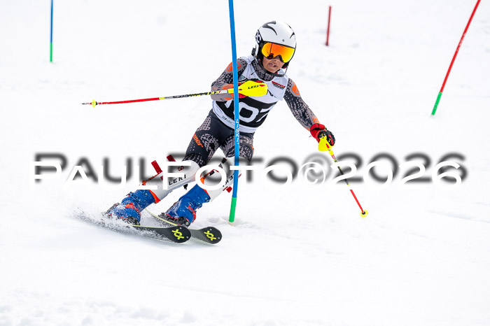 DSV - Actanol Deutscher Schülercup U12 Finale SLX 2026