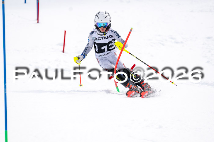 DSV - Actanol Deutscher Schülercup U12 Finale SLX 2026