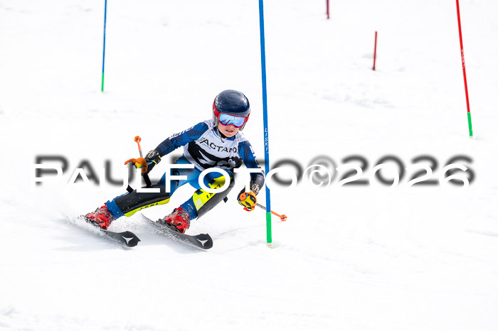 DSV - Actanol Deutscher Schülercup U12 Finale SLX 2026