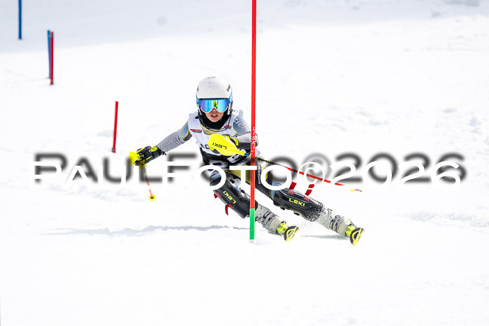 DSV - Actanol Deutscher Schülercup U12 Finale SLX 2026