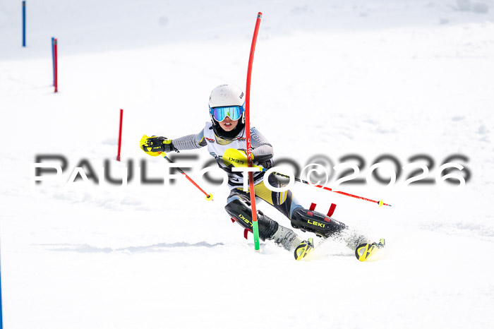 DSV - Actanol Deutscher Schülercup U12 Finale SLX 2026